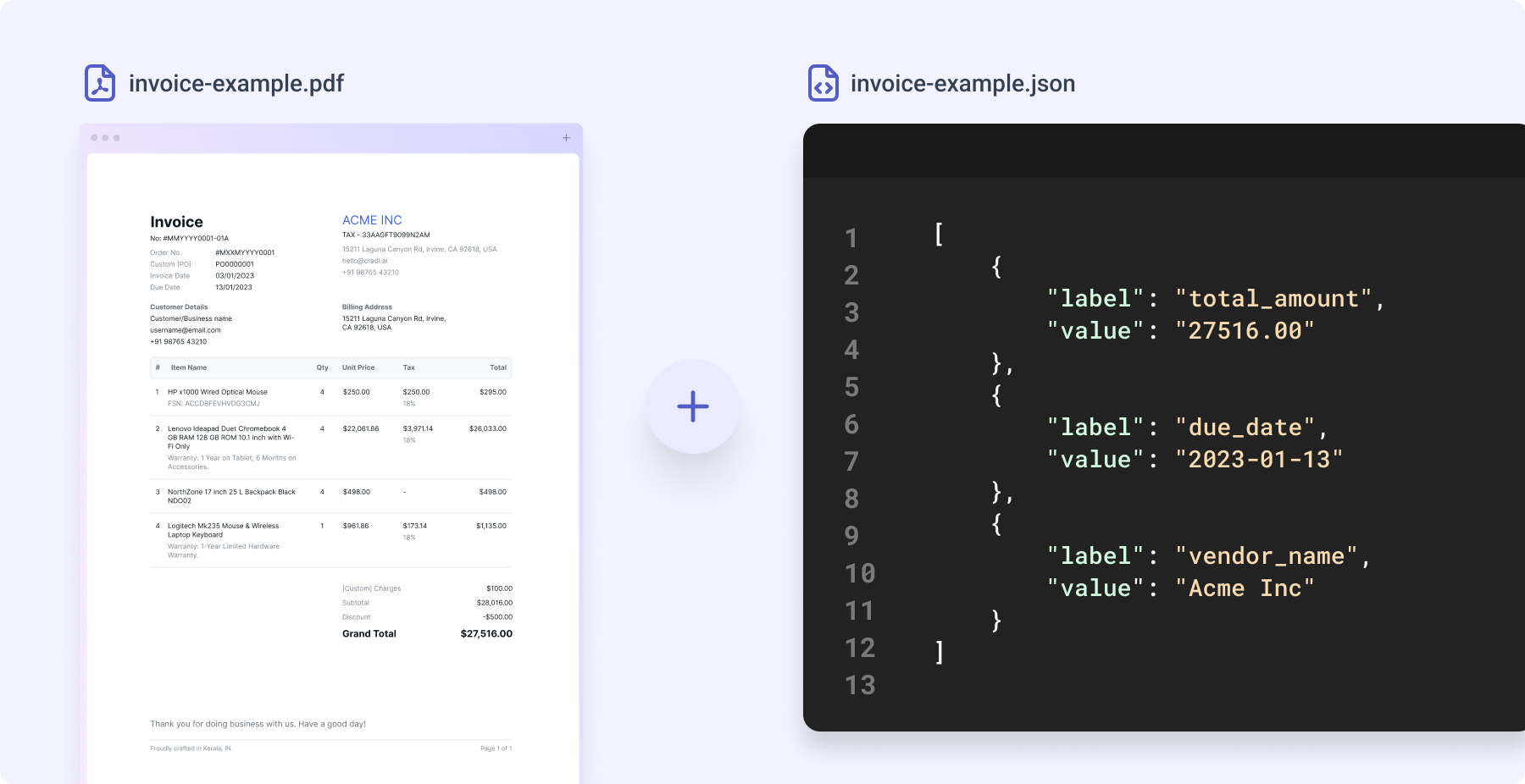 Document and json ground truth example